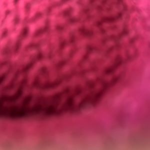 Meet your Posher, Myrtle